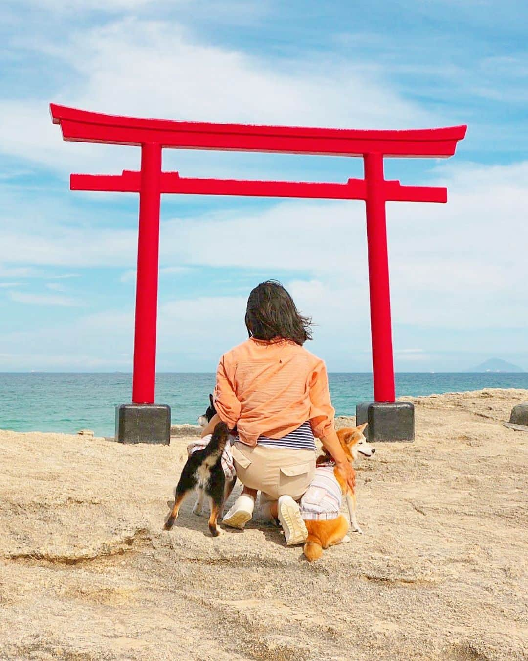 柴犬 けんしろう ゆりあさんのインスタグラム写真 - (柴犬 けんしろう ゆりあInstagram)「🐶⛩🐶 . 2019.6.3-6.4 けんゆり下田・伊東・熱海旅行⑤🐾 自然が生み出したパワースポット巡り 次なる目的地は、白浜神社の海を臨む鳥居⛩✨ ずっと訪れてみたいと思っていた 海と空と伊豆七島を見渡せる絶景のこの場所に けんゆりと一緒に来れて本当にうれしかったです☺️❤️ つづく.. . . Location: 下田 #白浜神社」6月8日 18時12分 - nerishiro