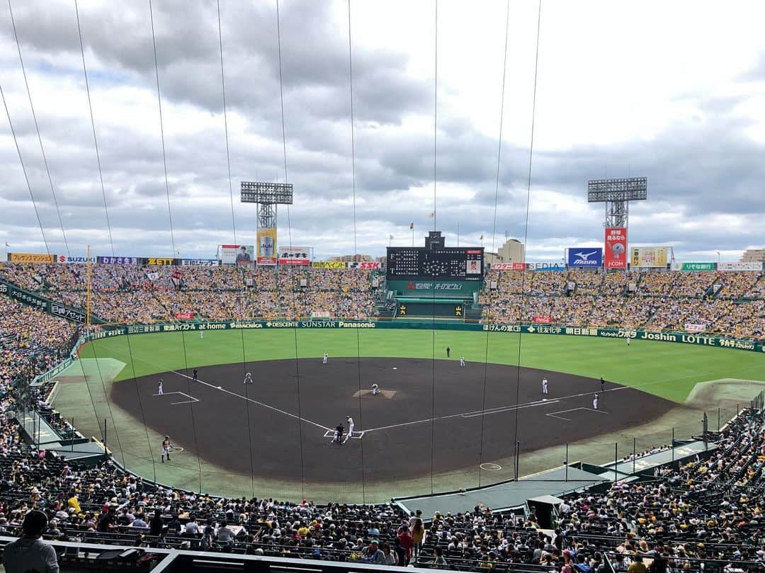 五十幡裕介さんのインスタグラム写真 - (五十幡裕介Instagram)「やって来ました！阪神甲子園球場！ この地で、ファイターズは見事な連勝！ 清宮幸太郎選手が、2試合連続の先制打！ 先発の金子弌大投手は、6回無失点圧巻のピッチング！ 7回には、打者一巡の猛攻！ 渡邉諒選手の満塁ホームランを含む7安打で7得点！ トドメは、横尾俊建選手待望の今シーズン初の一発！ ファイターズの良いところが凝縮された、 そんな試合になりました✌️ 繋がる打線や金子投手の快投に、記者席で取材しながら、 思わず「ヨシッ」と声が出てしまいました…。 そして、甲子園には仕事でもプライベートでも、 数え切れないほど来ているのですが、 何度来ても、興奮する。うっとりする。 栗山監督が話す「甲子園には何か力がある」。 甲子園は、私にとって最高のパワースポットです。 そして、明日9日のファイターズ戦は、 甲子園球場から生中継！ ファイターズ側のリポートを担当します。 交流戦はこれで4勝1敗、さらに白星を重ねるべく、 テレビの前で応援しましょう！！ 明日、是非ご覧下さい！ 【番組情報】 「スーパーベースボール 阪神vs北海道日本ハム」 9日(日)午後2時、甲子園球場で試合開始！ 解説：福本豊・下柳剛 実況：高野純一(ABCテレビ) リポート：福井治人(ABCテレビ)、五十幡裕介  #北海道 #日本ハム #ファイターズ #lovefighters #2019 #プロ野球 #NPB #飛び出せ新時代 #驀進 #セリーグ #パリーグ #交流戦 #セかパか #甲子園 #阪神 #タイガース #セカパカ #ABCテレビ #高野純一 さん #福井治人 さん #昨年 #高校野球 #中継 でお世話になった #先輩 #後輩 #また一緒に仕事ができるのも嬉しい #HTB #アナウンサー #五十幡裕介 #実況」6月8日 18時31分 - htb_isohatayusuke