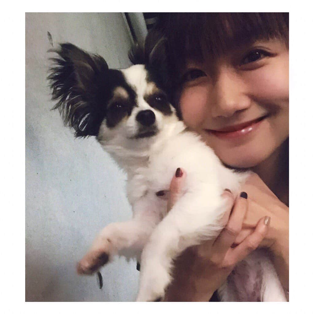 のインスタグラム：「姉さん犬、もう貫禄がでてきた。  AIO　#dog #犬 #ロングコートチワワ #ご飯 #大好き #リュック #大好き #2年生」