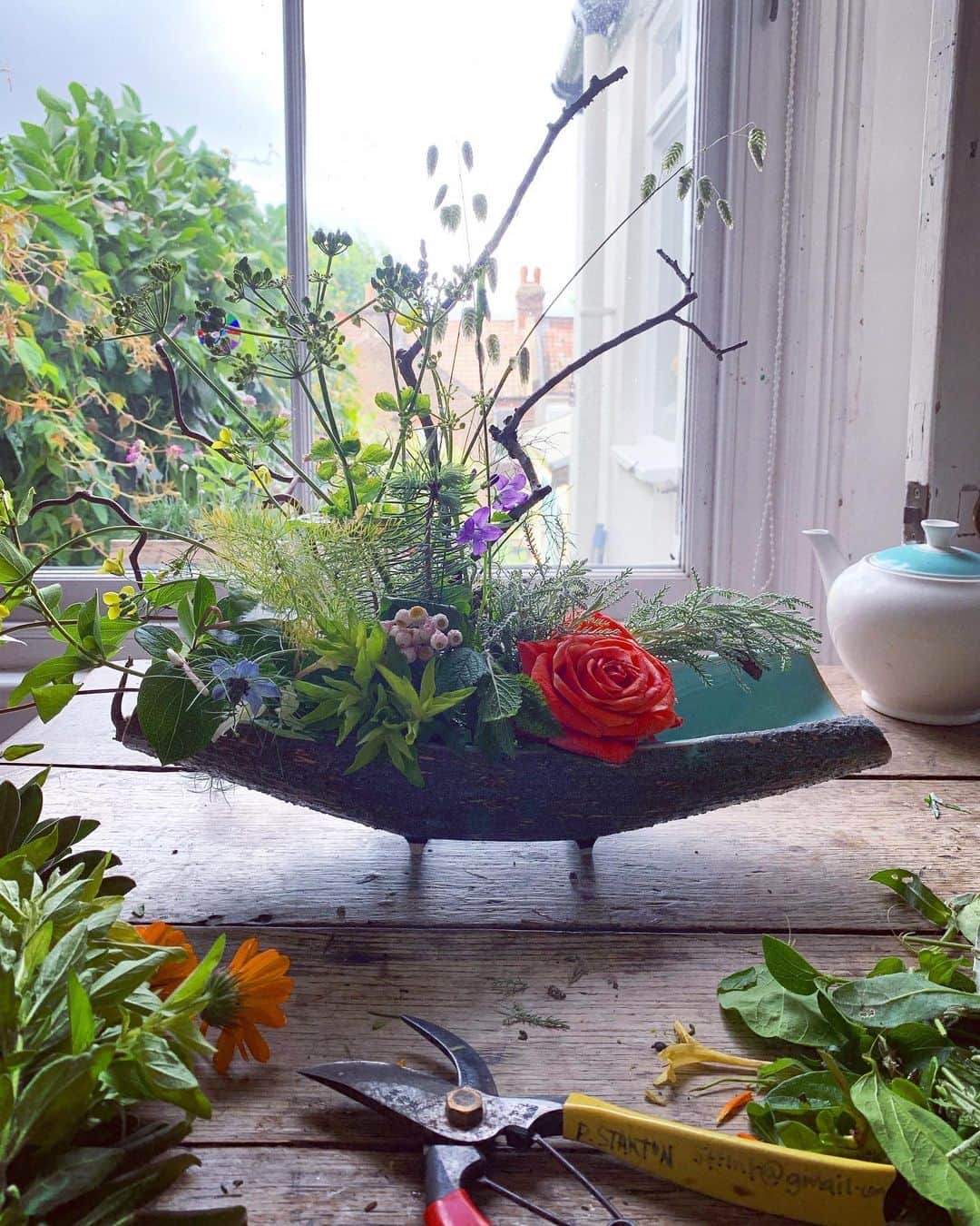 Tea and sittingのインスタグラム：「🌿...This rose got snapped off in the wind last night...I found it this morning rolling around on the garden path. I felt I needed to give it a more dignified and extended departure...♥️」
