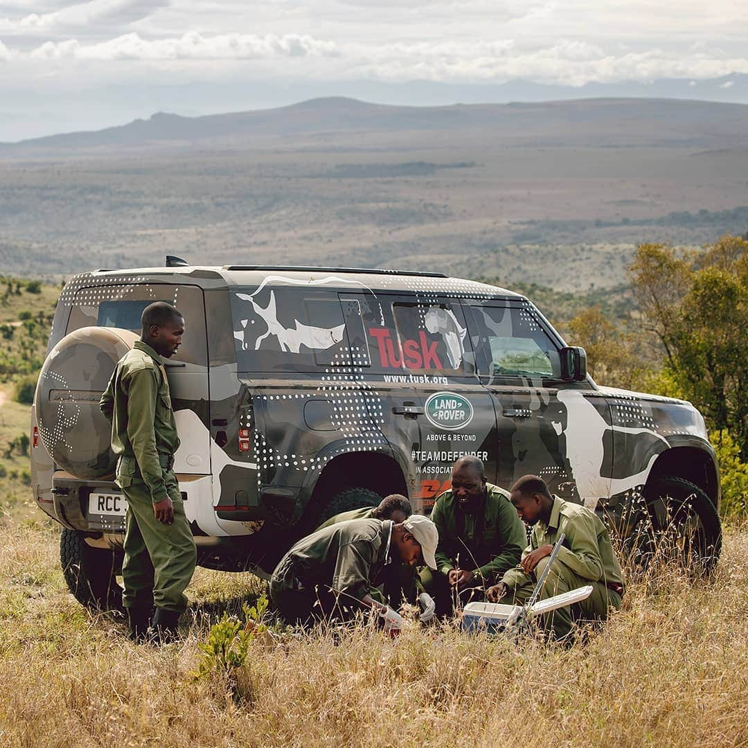 Land Roverさんのインスタグラム写真 - (Land RoverInstagram)「Trusted partners. Find out how Land Rover and @tusk_org, are coming together in the fight to raise awareness of the decline in lion populations across Africa with the help of the new #LandRover #DEFENDER. Tap the link in our bio to see more.  #LandRover #TeamDefender #LandRoverDefender #NewDefender #Best4x4xFar #OffRoad #4x4 #Testing #Carsofinstagram #Instacar #SUV #CarLifestyle #Adventure #Adventuring #Animals #AnimalConservation #Conservation #Africa #Borana #YearoftheLion @kenyawildlifeservice @boranaconservancy @boranalodge #AllForConservation #Borana #BoranaConservancy #Laikipia @lionlandscapes」6月8日 19時10分 - landrover