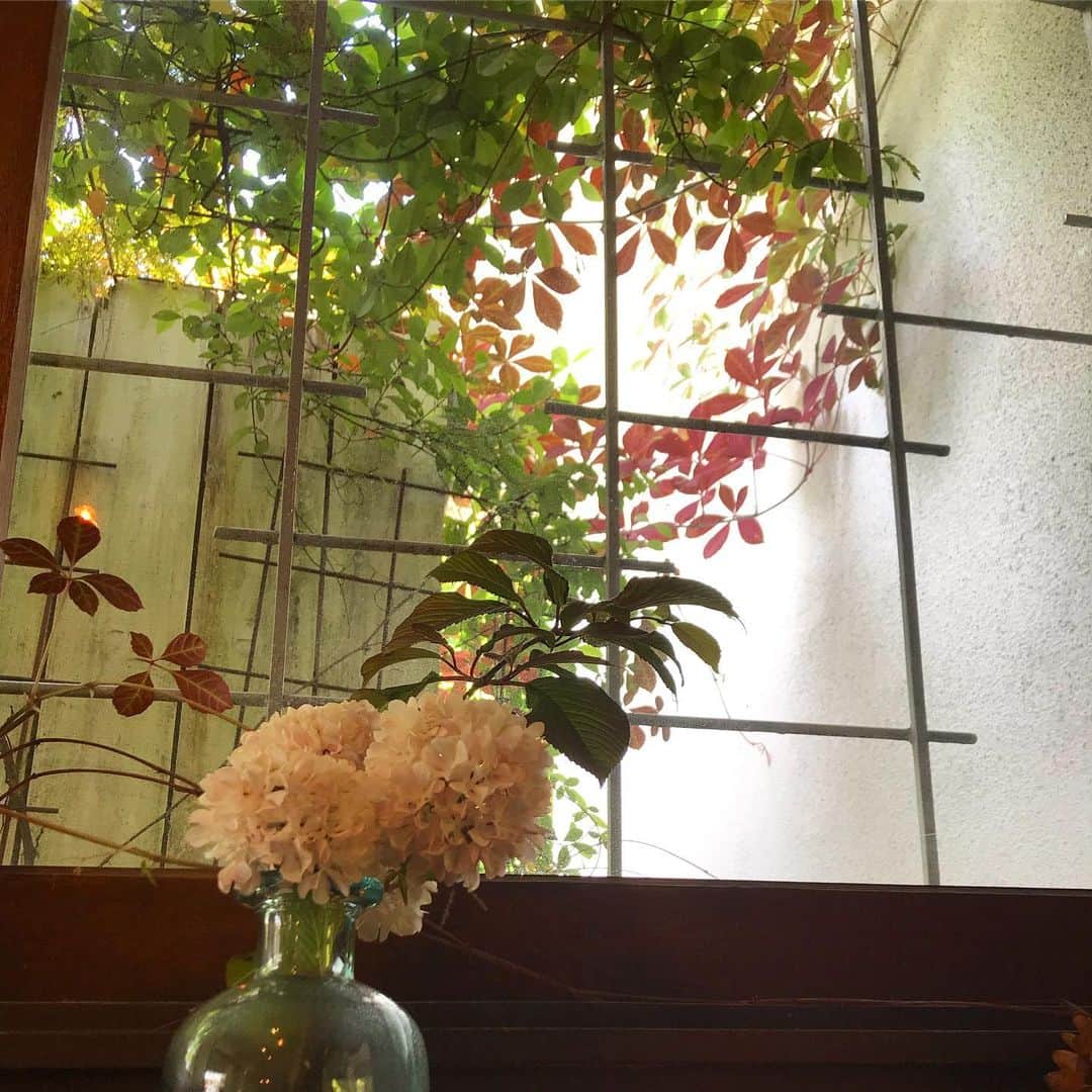 cafezakkagallery-flagのグルメインスタ