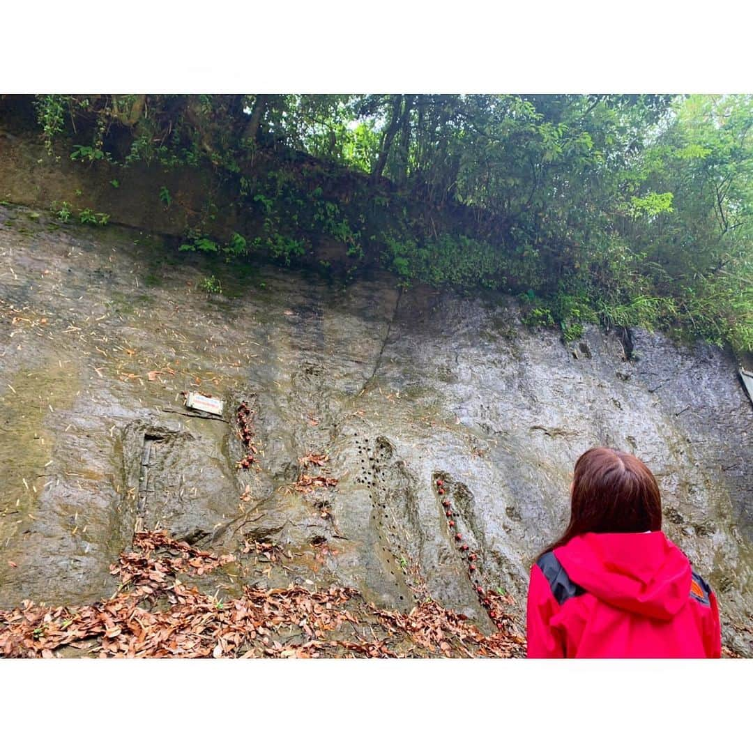 三谷紬さんのインスタグラム写真 - (三谷紬Instagram)「* Abema的ニュースショーのロケで 千葉県市原市に行ってきました🚃 話題の“チバニアン”について取材するためです👏 最寄駅は ローカル線・小湊鉄道の月崎駅！ トロッコやSL列車が通る、 まさに映える駅でした🥺 駅前では “cafeうさぎや”が美味しいコーヒーを売っています☕️ また、少し行くと養老渓谷もあり 長閑な雰囲気で心が洗われました🍀 明日のAbema的ニュスショーでは “そもそもチバニアンって何なの？”という疑問を解消できる企画を放送予定です☺️ お昼12時から是非見てください👀💓 * #千葉#市原市#チバニアン#chiba#japan#小湊鉄道#ローカル線#月崎駅#養老#養老渓谷#コーヒー#うさぎ#cafe#cafeうさぎや#coffee#ice#icecoffee#サワガニ#紫陽花#あじさい#ootd#私服#zara#northface#beams#Abema的ニュースショー#テレビ朝日#アナウンサー#女子アナ#三谷紬」6月8日 19時57分 - mitani_tsumugi