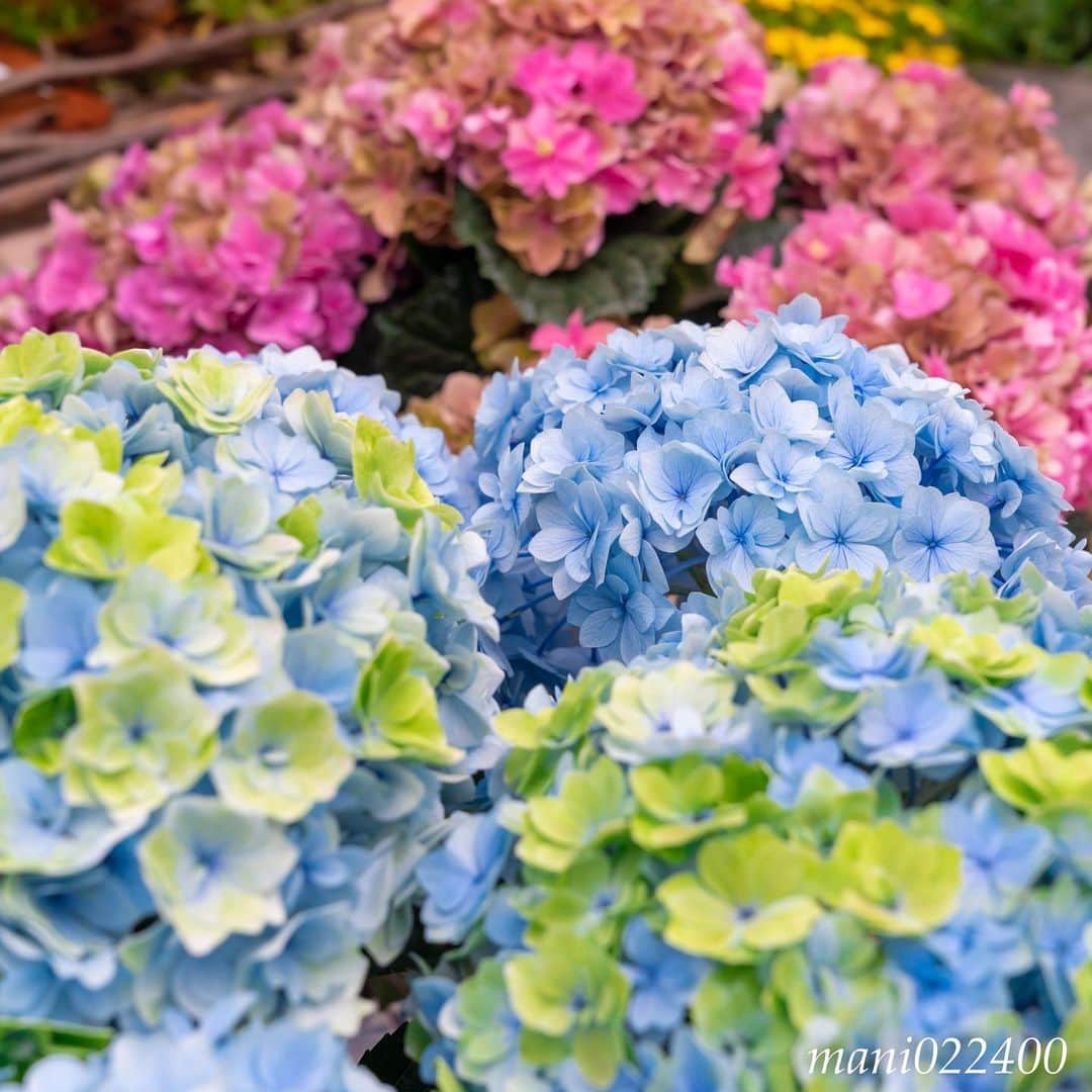 mani022400のグルメインスタ