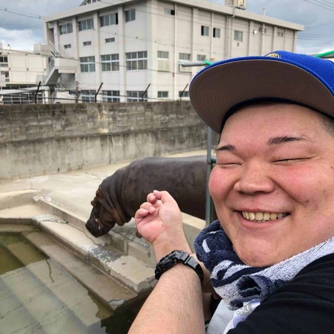 カバさんのインスタグラム写真 - (カバInstagram)「本日のでぶ活。 ワールドツアー山口県の皆さま、ありがとうこざいました！超満員、大盛り上がりで大感謝でございます🙏✨合間に地下道の入り口がカバの所と、徳山動物園の本物のカバを支えてきました！こやつ達がかなりデカかった！僕もまだまだボリュームアップして4トンくらいにならんと！また来ますー！ありがとうございました！🦛️✨あぁ、痩せたい！ . #本日のでぶ活 #でぶ活 #吉本新喜劇 #ワールドツアー #すっちー #酒井藍 #山口県 #ありがとうございました #大感謝 #地下道入り口のカバ支え #徳山動物園の本物のカバ支え #両方デカすぎ #僕も頑張って4トンになります #お支えシリーズ #アトラスならぬ #カバラス #明日の福岡も頑張ろ #あぁ、痩せたい」6月8日 20時29分 - kabaking0129