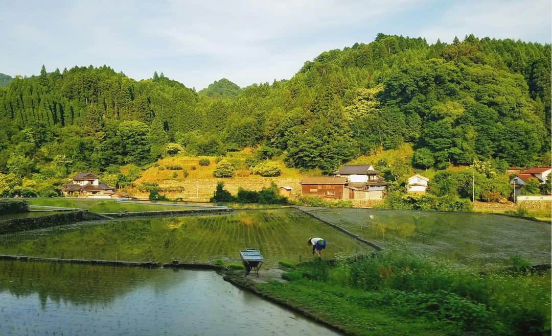 ENGIYA｜縁器屋さんのインスタグラム写真 - (ENGIYA｜縁器屋Instagram)「. 田植えの美しい景色が広がっております。  小石原焼の産地、東峰村は棚田を活かした棚田米など 美味しいお米がとれます。  秋が待ち遠しいですね。  写真:縁器屋 福岡スタッフ  #福岡県 #東峰村 #お米 #米 #田植え #棚田」6月8日 21時35分 - engiya_japan