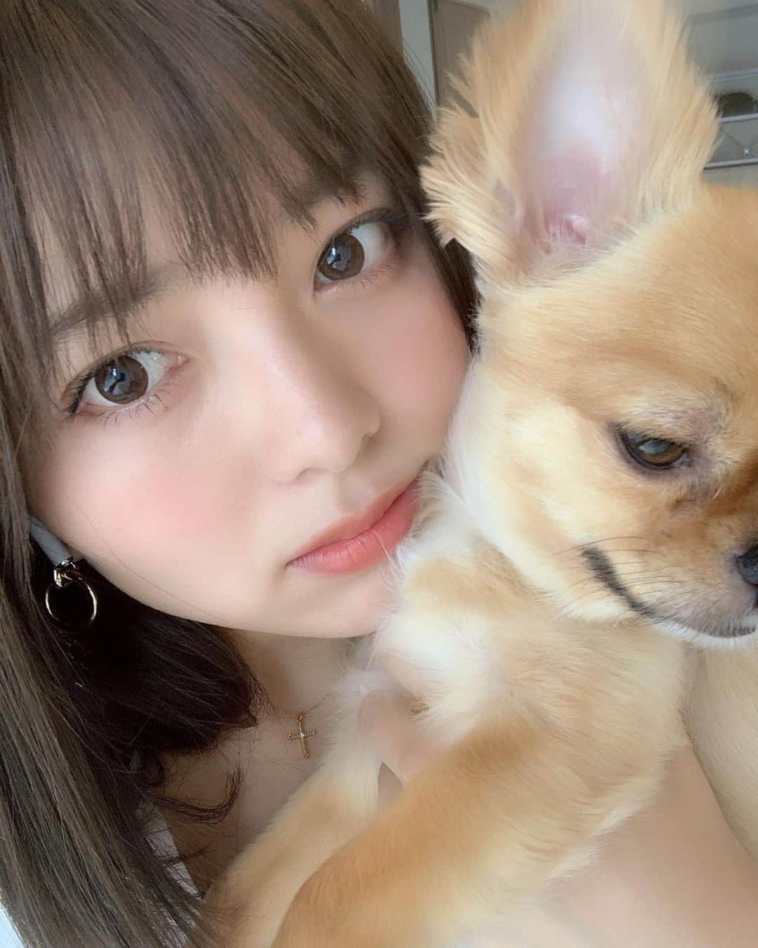 瀬戸サオリさんのインスタグラム写真 - (瀬戸サオリInstagram)「晴れたから散歩にいけた🦴🐶🌤 . ラッキーーー🥰 ＿＿＿＿＿＿＿＿＿＿＿＿＿＿＿ #テディとわたし #いつも一緒 #愛おしい #ティちゃん #teddy #chihuahua  #🐶🦴」6月8日 21時36分 - seto_saori