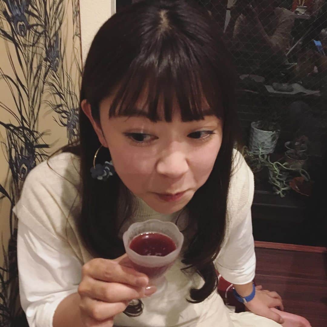 常盤よしこのインスタグラム：「すっぽんの生血。 すっぽんの卵。 すっぽんの刺身。 スッポン鍋のぞうすい。 今日はすっぽんデイ。 コラーゲン。  #すっぽんぞうすい#すっぽん生血#すっぽん刺身とタマゴ」