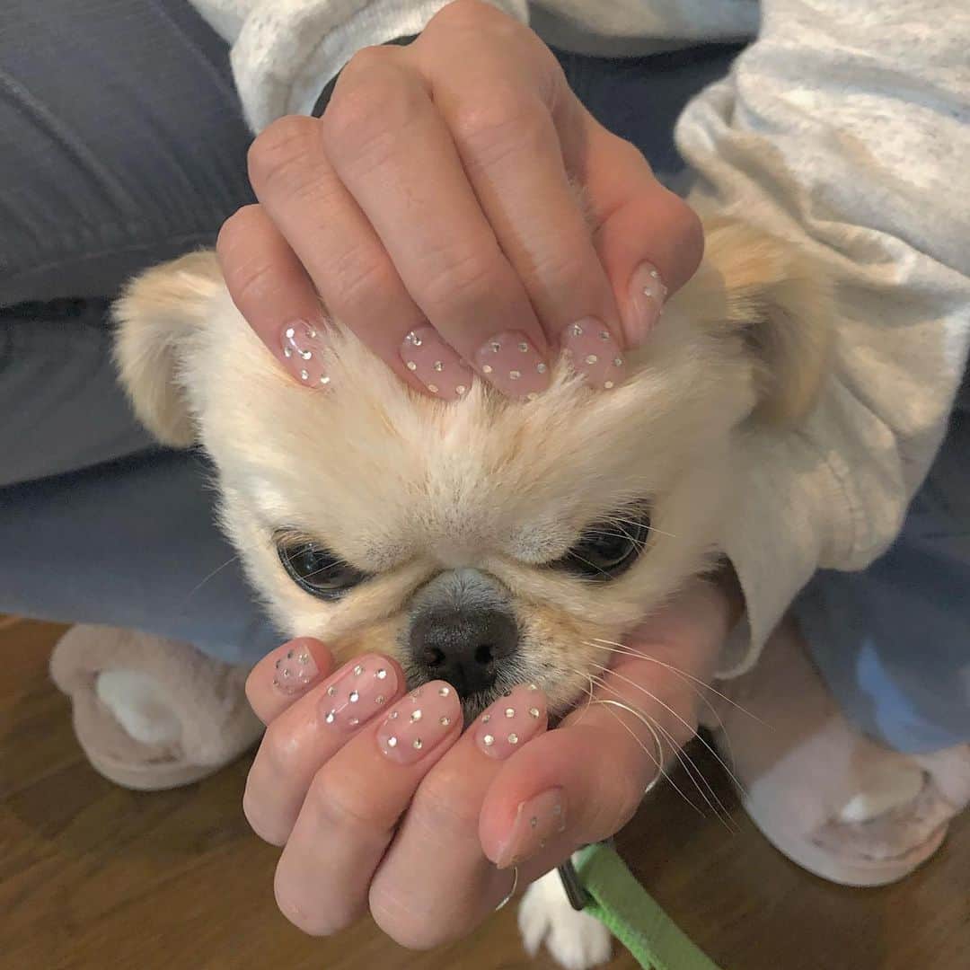 makoさんのインスタグラム写真 - (makoInstagram)「. いつもありがと👧🏼❤︎🐶 #nail #ペキチワ #おもちくん」6月8日 21時45分 - mkxxxbaby