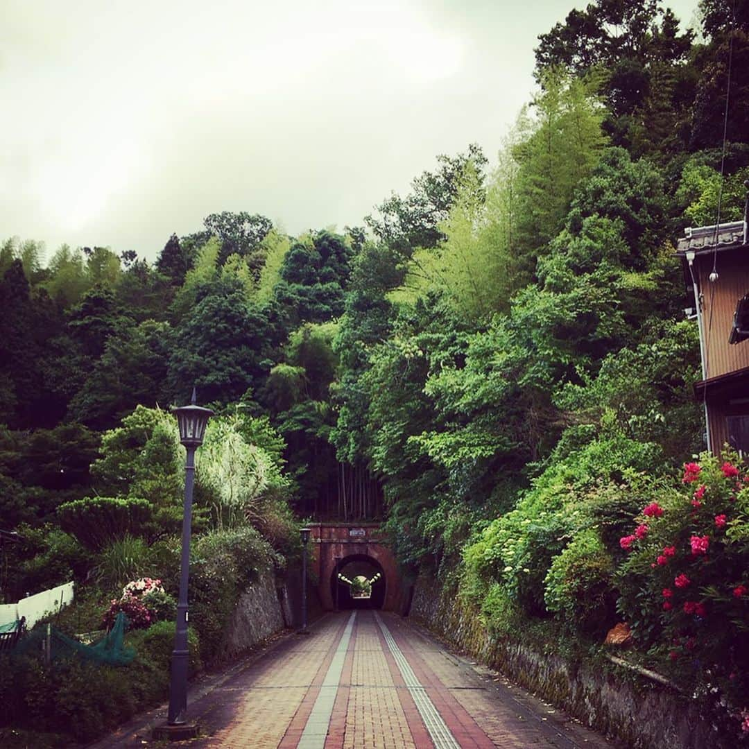 ナガイケジョーさんのインスタグラム写真 - (ナガイケジョーInstagram)「熊本からバンドワゴン走ること約760km、明日の高岡からちょいと手前の京都は舞鶴にて本日は一泊。 着後、雨も上がったので近隣を散策。 1900年代初頭から軍港として発展した街は今も当時の面影を残し（現在は海上自衛隊の基地になっているのですね）、旧海軍の軍事倉庫であったという赤レンガ倉庫群の重厚な雰囲気に圧倒されながら、アレこれアー写撮影ポイントにイイんじゃね？なんて思ってそれっぽく撮ってみたりして（by セルフタイマー）。 今も展示会や喫茶室として利用されているらしい管理された赤レンガ、ではない方の、「立入禁止」方面、旧舞鶴海軍需品庫の明治期のまま朽ちてる感触にシビれた、これ見てると、戦うのは悲しいことだなぁ、と。残されたものの切なさ、漂う。 そのままもう少し歩いてみるか、と東舞鶴駅方面へと向かうと、いかにも私には歴史があるのよ、と言わんばかりの竹林を頭上にワッサワサと繁茂させたトンネルが現れ、曰く北吸隧道。 なんでもこの道もかつては物資輸送の鉄道が走っていたらしく、もうホントこの感じ大好きです、写真パシャパシャ撮りながら、自転車漕いで通り過ぎてくおじさまらの視線を感じつつ、ここで日々生きている人たちの生活や歴史観にしばし思いを馳せてみた夕暮れ時でした。 願、世界平和。 というわけで、初めて訪れた街からまたインスピレーションいただきながら、明日は高岡「ROCKTOWN TAKAOKA」。 楽しく元気よく、鳴らし合いましょう。 #舞鶴」6月8日 21時46分 - joenagaike