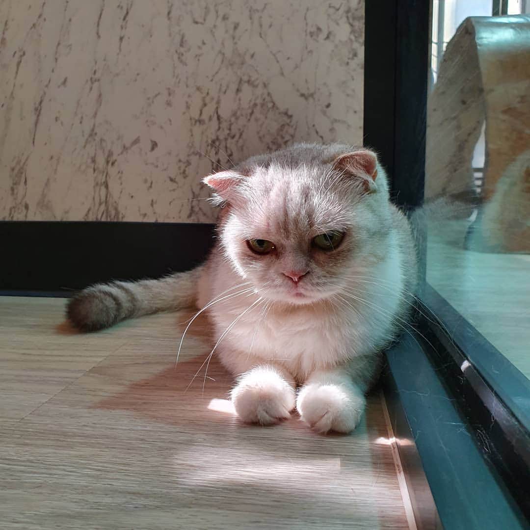 のインスタグラム：「แม่ทำไรผิดดดด 😅 #cougarteamonlyyui」