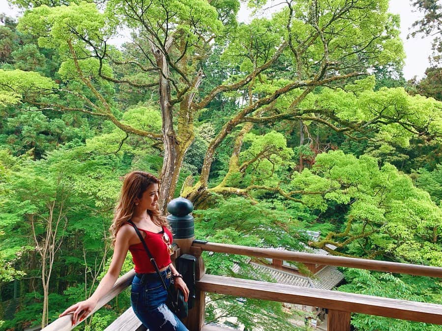 鈴木まりなのインスタグラム：「  兵庫県姫路市にある書写山圓教寺へ🌳  西の比叡山とも言われる天台宗の古寺💫 西国27番札所。  ラスト・サムライのロケ地❤️    #書写山圓教寺 #書写山 #姫路 #西国三十三所」
