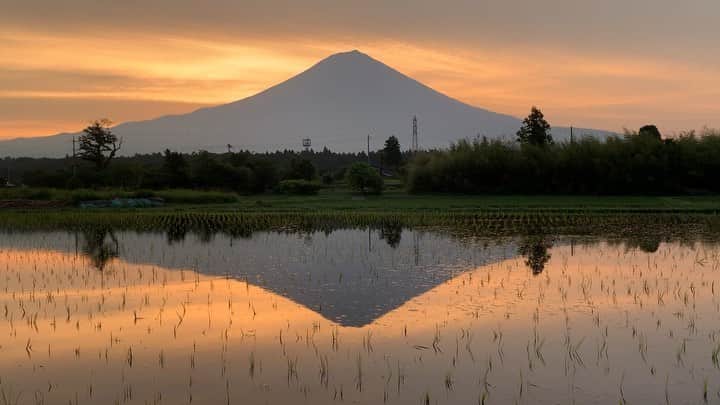 phantastic420のインスタグラム：「. 🤩🤩“Shizuoka” prefecture in Japan is a place where you can see the most “phantastic” Mt. Fuji🗻 in the world.🤩 #富士山 #mtfuji #japan #shizuoka #fujinomiya  #phantastic420photography #mostphantasticmtfuji #selamatpagi  #goodmorning  #おはようございます 😇😇😇😇😇😇😇🗻😇😇 今朝は雨降っております☔️ 先日の焼け終わりです😍🤩😋」
