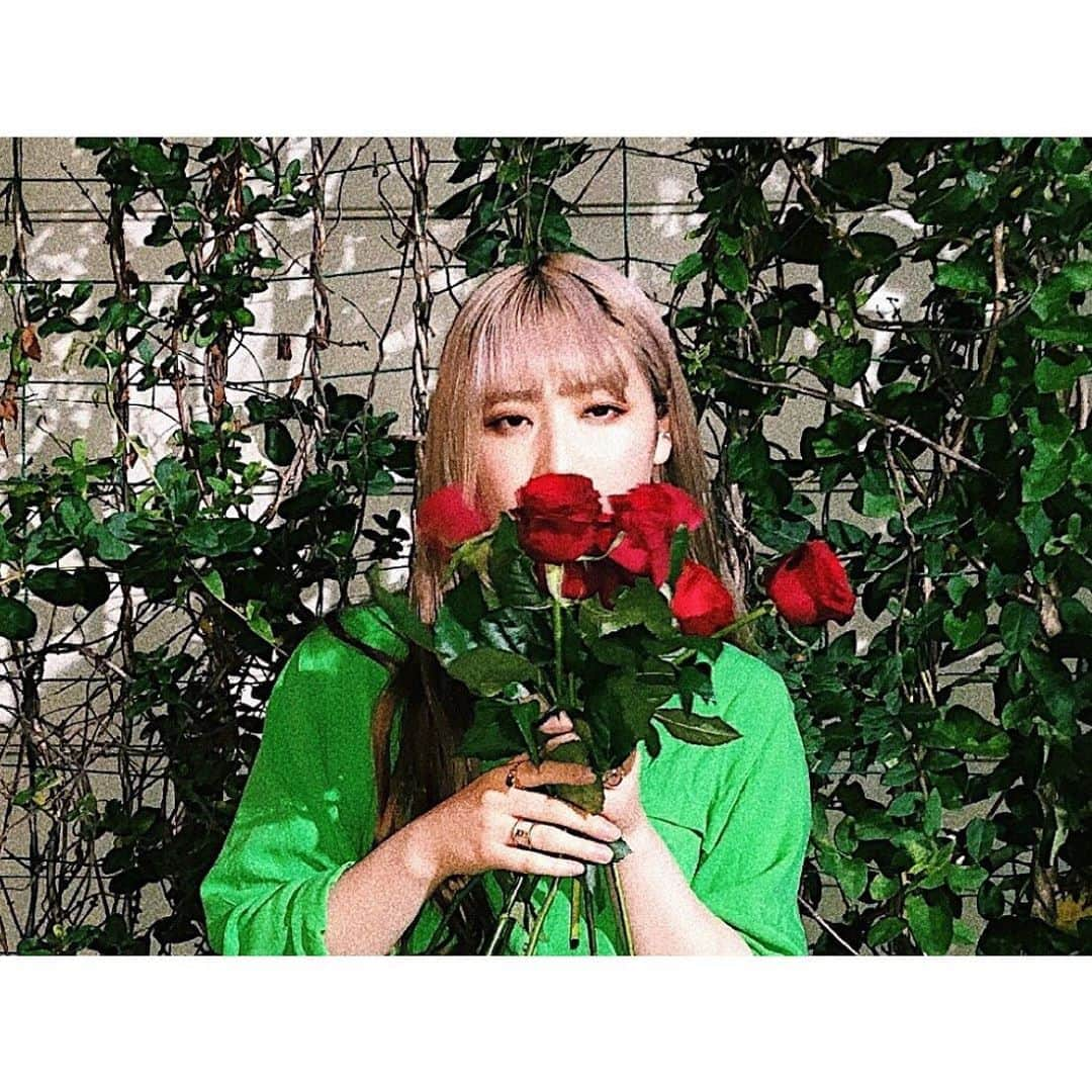 松尾レミさんのインスタグラム写真 - (松尾レミInstagram)「みんな豊洲ピット来てくれてありがとう🌹最高のファイナルでした。追加公演含めあと3本、7月まで続くけど、また遊ぼうね！」6月9日 0時14分 - remimatsuo