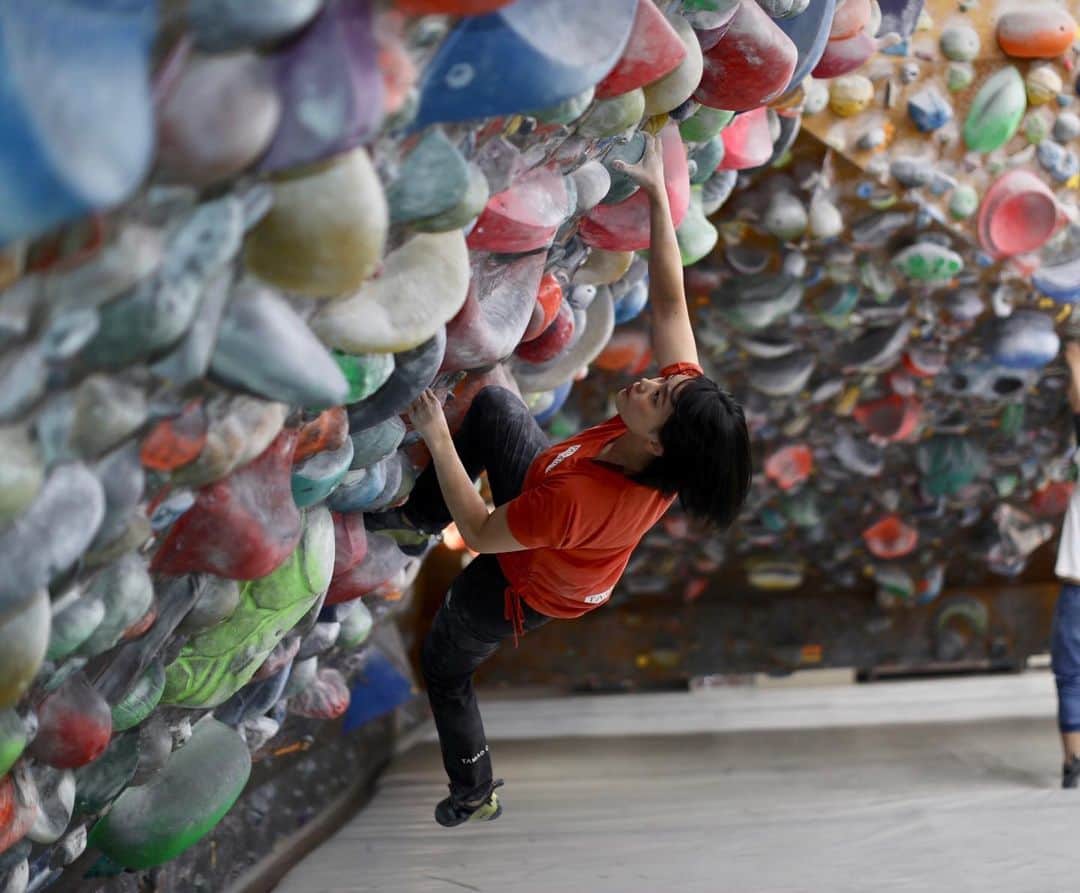 大場美和さんのインスタグラム写真 - (大場美和Instagram)「ホールドぽこぽこ 無限にルートが作れる #climbing #bouldering 📸 @ikukoserata」6月9日 0時25分 - miwa_oba