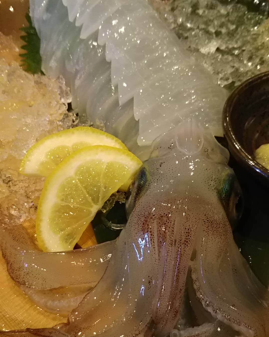 九州うまか 北浜店のインスタグラム：「本日は剣先イカでございましたよ。  #九州うまか#九州うまか北浜店#北浜#淀屋橋#天満橋#京橋#肥後橋#堺筋本町#大阪#大阪グルメ#居酒屋#日本酒#焼酎#純米#泳ぎイカ#もつ鍋#九州料理#九州#博多#福岡#鹿児島#宮崎#佐賀#長崎#大分#熊本#肉」
