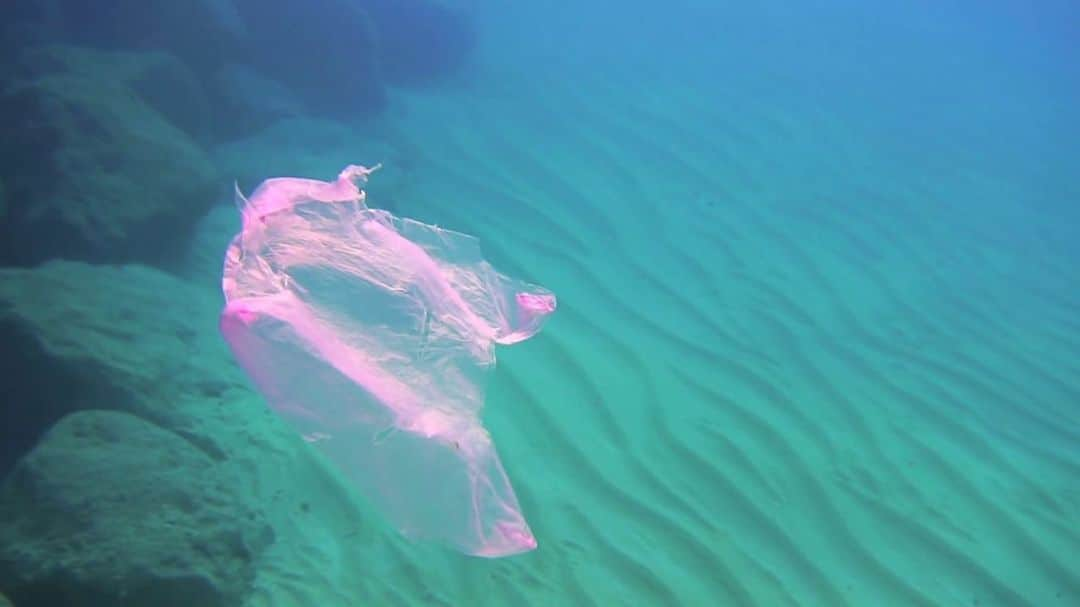 ドウツェン・クロースさんのインスタグラム写真 - (ドウツェン・クロースInstagram)「Today it’s World Oceans Day - We produce 311 million tons of new plastic every year. More and more plastic waste is floating in our oceans and seas and every year, about 5 million tons end up in it. 90% of seabirds now have plastic in their intestines. If we don’t do anything about the marine pollution, then in 2030 there will be no less than 300 million tonnes of plastic waste in our oceans #worldoceansday」6月9日 0時55分 - doutzen