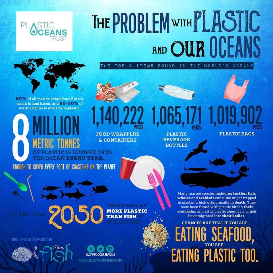 Jena Frumesさんのインスタグラム写真 - (Jena FrumesInstagram)「It’s World Ocean Day 🌎! So I’m showing you all the truth of how plastic is effecting our oceans. I have stopped using straws and encouraging my friends to do the same hopefully when they see this they will understand the severity of why.  Plastic is affecting our marine life and other wildlife so much & if you eat fish you may just be eating plastic yourself. I’ve been reducing plastic by no longer buying cases of water bottles (24/48 pack) & if I do I make sure bottles are recycled properly even if I have to take them home with me to ensure they get to the right place. I have purchased a water filter & also signed up for water delivery where they can deliver water jugs and pick them up to ♻️ ! I will put more information on how to do this on my Instagram story. I have also stopped using plastic shopping bags which sea turtles often mistake for jellyfish which is what they eat! I will be posting a bunch more ways to reduce plastic intake which will help our oceans & wildlife tremendously. Start becoming more aware of how you dispose of your plastic and explore the options in your community to recycle. 💯 Love you guys let’s make a difference. Happy World Ocean Day! 🐢🦑🐙🦐🌎♻️💙 #WorldOceansDay #TagAFriend #ReduceReuseRecycle」6月9日 1時07分 - jenafrumes