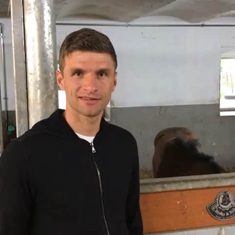 トーマス・ミュラーのインスタグラム：「I got so much questions about our little colt Manuel. Here we go 🐴 What a magnificent one 😃👍🏼 #esmuellert #pferdenachwuchs #manuel #horse #stableMüller」