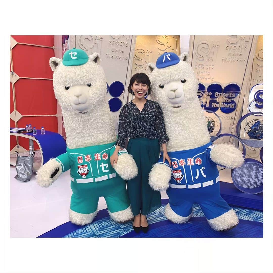 上村彩子さんのインスタグラム写真 - (上村彩子Instagram)「. . サニブラウン選手が 100メートル日本記録更新ということで S☆1は陸上をたっぷりお伝え しました！ . . そしてスタジオには3年連続3回目！ プロ野球のセパ交流戦公式キャラクター セカくんとパカくんが💕 . . 私は明日は仙台でサッカー中継のため S☆1とスパサカのスタジオは おやすみさせてもらいますが、 セカくんパカくんは明日もきてくれます！ ワイプの中でも一生懸命うごいて くれるのがかわいい😍 . . キリンチャレンジカップ 日本VSエルサルバドル、 18:30〜TBS系列で生中継⚽️ スパサカでは、Jリーグの ゴール全部みる大作戦、ボレーキングの発表です。 私もインタビューいってきました！ . . #日本生命#プロ野球#交流戦 #セパ交流戦」6月9日 1時44分 - saekokamimura