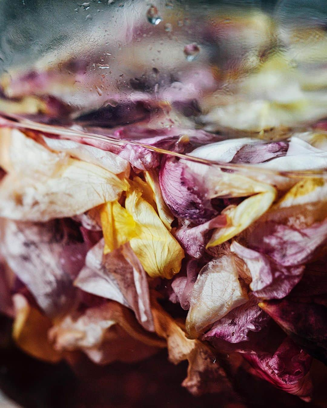 Our Food Storiesさんのインスタグラム写真 - (Our Food StoriesInstagram)「One of our favorite recipes in our book „Dialogues“ in collaboration with @framacph is this simple and delicious rose syrup. All the roses are in full bloom right now, so what could be better 🤗🌸🌿 #ourfoodstories ____ #rosesyrup #gardeninspo #gardeninspiration #countrysidelife #countrysideliving #houseandcottage #houseandgarden #rosen #rosensirup #countrysidewalk #fellowmag #saveurmag #simplejoys」6月9日 2時28分 - _foodstories_