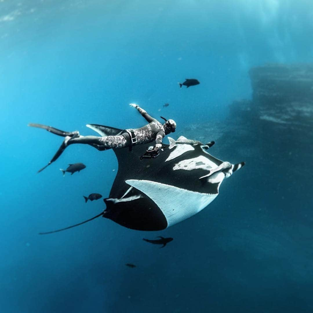 Instagramさんのインスタグラム写真 - (InstagramInstagram)「“To see a picture of a large marine animal interacting peacefully with a human can trigger something in people’s mind and change their perception,” says photographer, scientific advisor and free diver Fred Buyle (@fredbuyle). “As a free diver, you truly feel part of the ecosystem… I wish people understood that there is no ‘us’ and the environment — we are a whole system. On planet Earth, everything is interdependent.” 🐳🏊🌎🌊💙 #WorldOceansDay Photo by @fredbuyle」6月9日 3時02分 - instagram