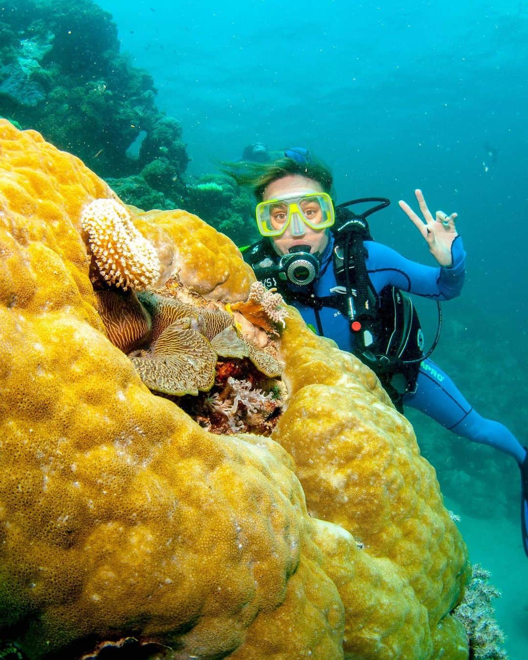 ブリー・ラーソンさんのインスタグラム写真 - (ブリー・ラーソンInstagram)「It’s #WorldOceansDay - what ways are you helping to keep our oceans clean? It’s a beautiful, magical place down there. Let’s keep it that way. This is from my dive in the Great Barrier Reef a few years ago. Makes me sad to think that future generations might not be able to see in person all the colors, textures and temperatures places like this hold. We gotta love our earthly habitats real hard. Comment below with ways we can work to make a difference.」6月9日 9時17分 - brielarson