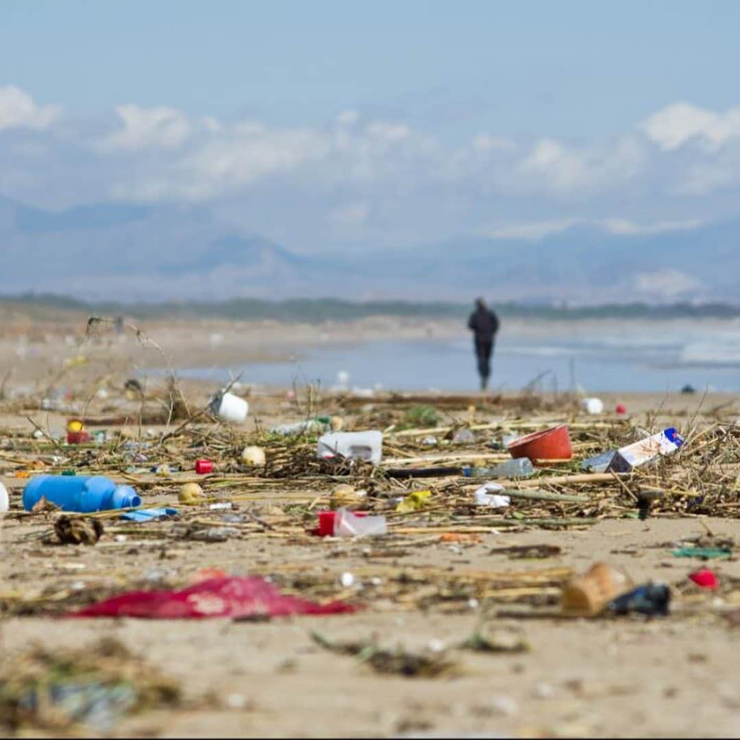 アントニオ・バンデラスさんのインスタグラム写真 - (アントニオ・バンデラスInstagram)「The average time a plastic bag is used is 12 minutes. After you’re done with it, however, that bag will stick around a lot longer: 500 years in a landfill to degrade. Even worse, many of the plastic bags end up in our oceans and are mistaken for food. Over 100,000 marine animals are killed by plastic bags. It’s not unusual these days to see animals wash up on shore, their bellies filled with plastics. This must stop. Let’s #BeatPlasticPollution together! @undp #worldoceansday」6月9日 3時55分 - antoniobanderas