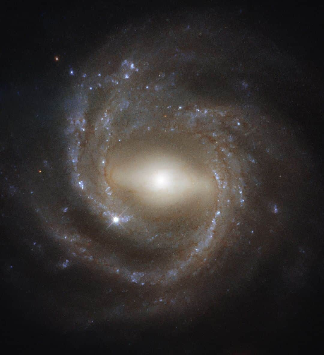 NASAさんのインスタグラム写真 - (NASAInstagram)「Mature and gorgeous, this barred spiral galaxy spotted by our @NASAHubble Space Telescope shows a luminous core that is likely acting like a stellar nursery. 👶 ⭐⁣ ⁣ Astronomers think that bar structures like the one seen crossing through NGC 7773's core emerge later in the lifetime of a galaxy, as star-forming material makes its way toward the galactic center. Our own Milky Way galaxy is thought to look similar to this.⁣ ⁣ ⁣ Credit: NASA/@esa/@nasahubble/J. Walsh ⁣ #NASA #universe #space #galaxy #HubbleFriday⁣」6月9日 4時01分 - nasa