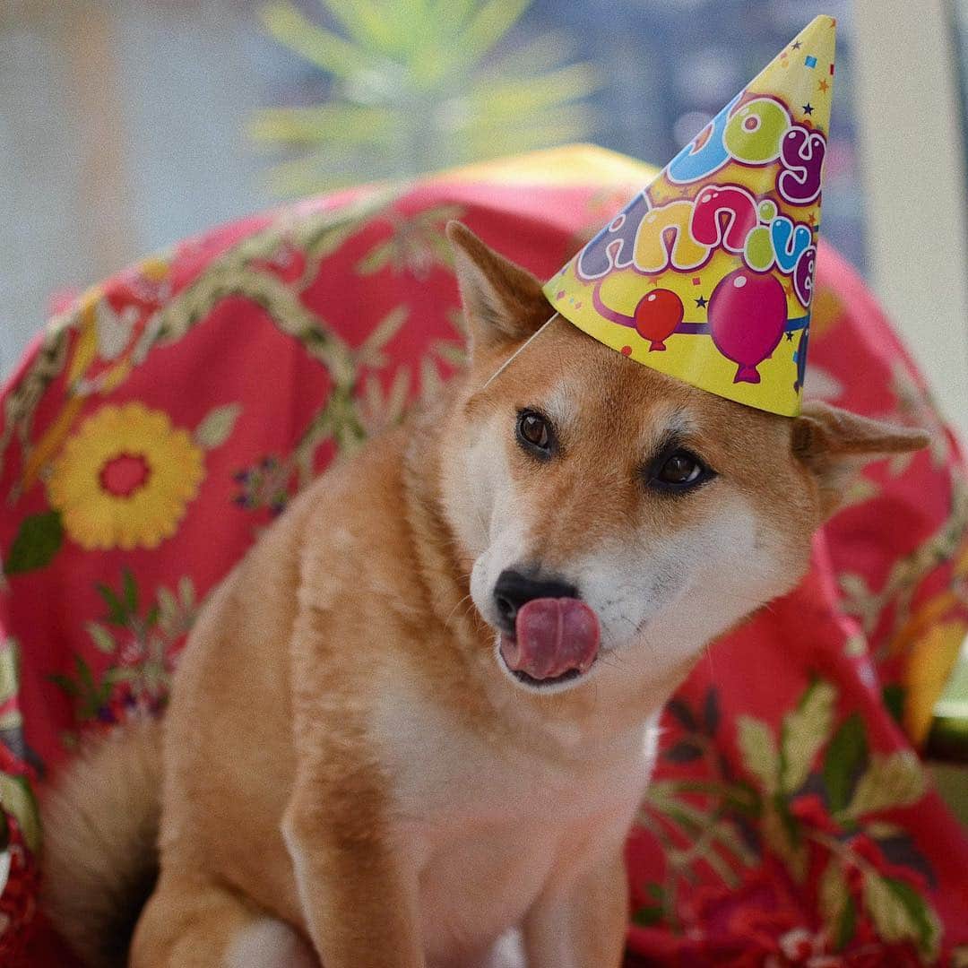 じぇっとさんのインスタグラム：「today it’s my birthday❤️🍬🥳 (my birthday’s cake was delicious🍰🎂)」