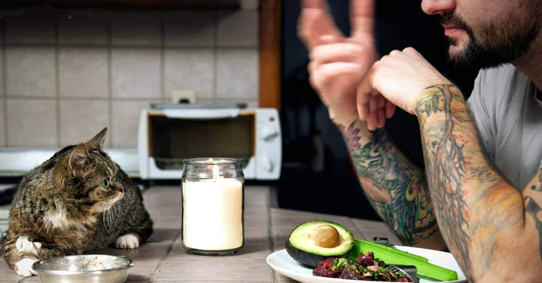 Lil BUBさんのインスタグラム写真 - (Lil BUBInstagram)「Two best friends enjoying their favorite foods on #NationalBestFriendDay Me: Avocado, celery, and beet salad. BUB: @halopets' Seafood Medley.」6月9日 4時26分 - iamlilbub