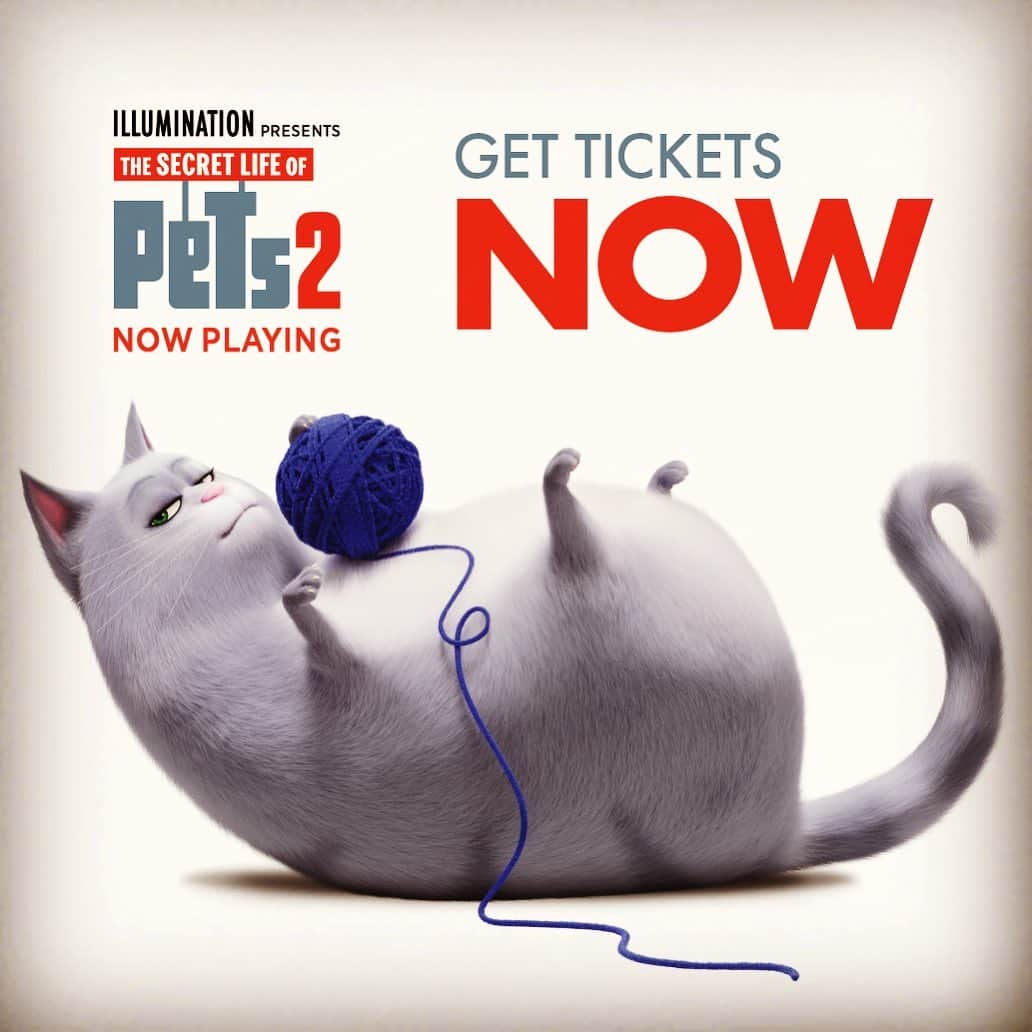 レイク・ベルのインスタグラム：「MEOW PLAYING.」