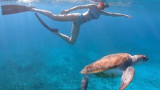 Ana Hickmannさんのインスタグラム写真 - (Ana HickmannInstagram)「Quando fui a Curaçao pude realizar o sonho de nadar em alto mar com tartarugas e golfinhos. Temos o dever de cuidar dos oceanos para que as próximas gerações tenham a oportunidade de viver em um mundo mais colorido e limpo. #oceano #natureza #diamundialdooceano #worldoceansday @visitecuracao」6月9日 4時49分 - ahickmann