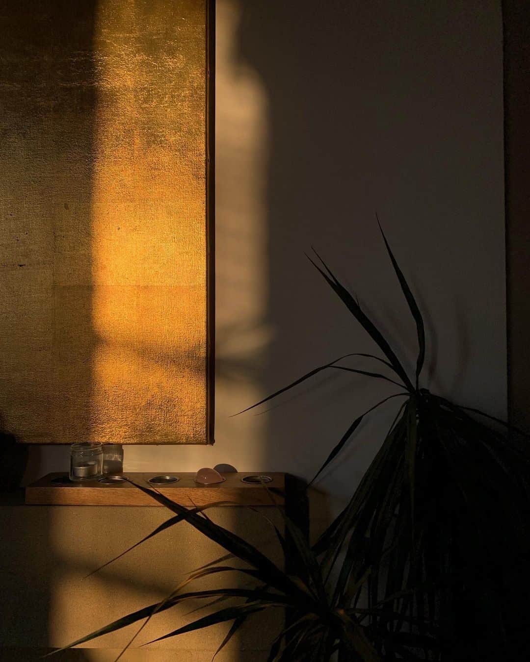 Amelia Zadroのインスタグラム：「Golden hour」