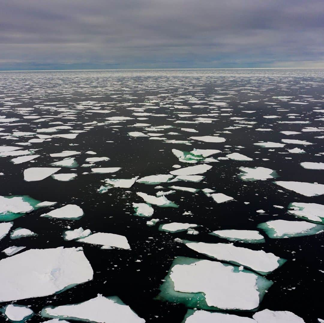 CNNさんのインスタグラム写真 - (CNNInstagram)「CNN’s @arwacnn joined a team of scientists in the Fram Strait, near Greenland, to try to investigate what’s causing the Arctic to heat up two times faster than the global average. For more about her trip and #WorldOceansDay, tap the link in our bio. For more, follow @cnnclimate)」6月9日 5時04分 - cnn