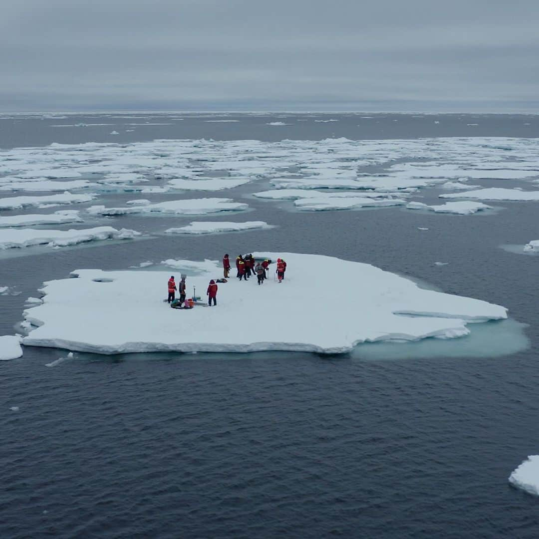 CNNさんのインスタグラム写真 - (CNNInstagram)「CNN’s @arwacnn joined a team of scientists in the Fram Strait, near Greenland, to try to investigate what’s causing the Arctic to heat up two times faster than the global average. For more about her trip and #WorldOceansDay, tap the link in our bio. For more, follow @cnnclimate)」6月9日 5時04分 - cnn