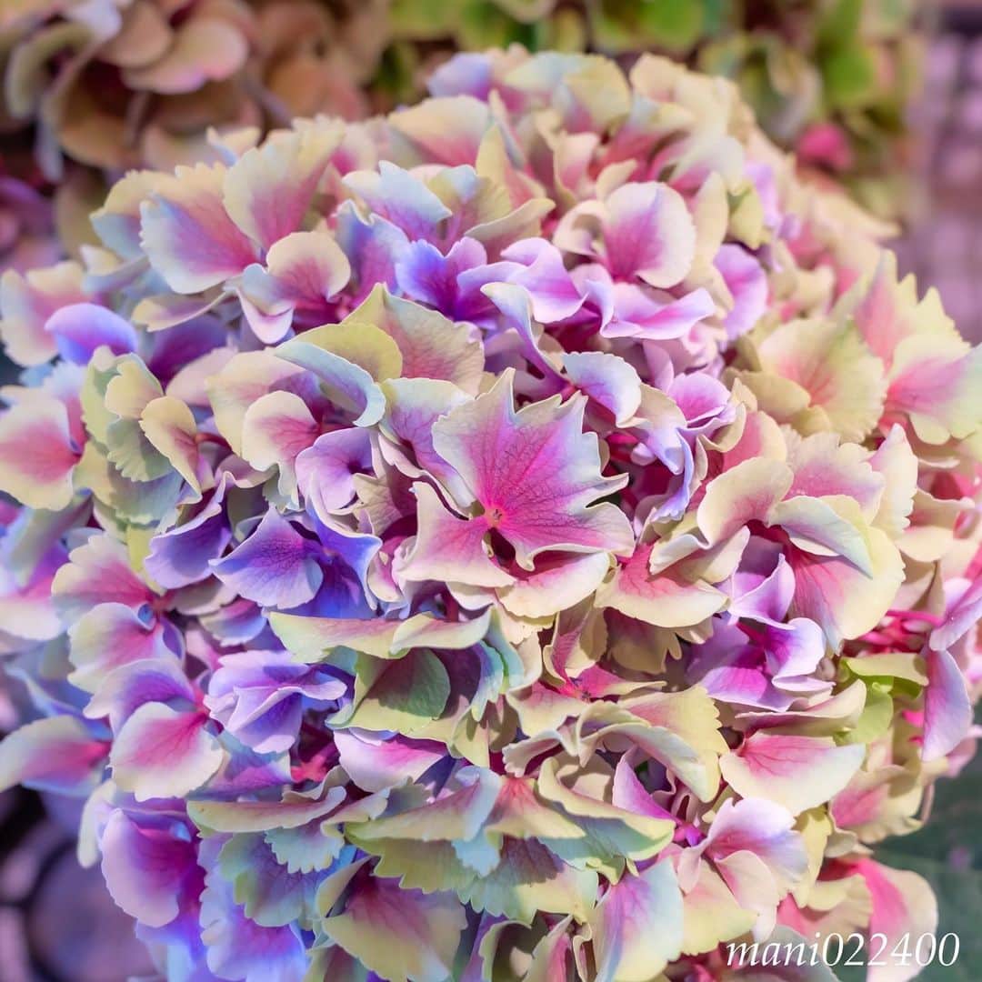 mani022400のグルメインスタ