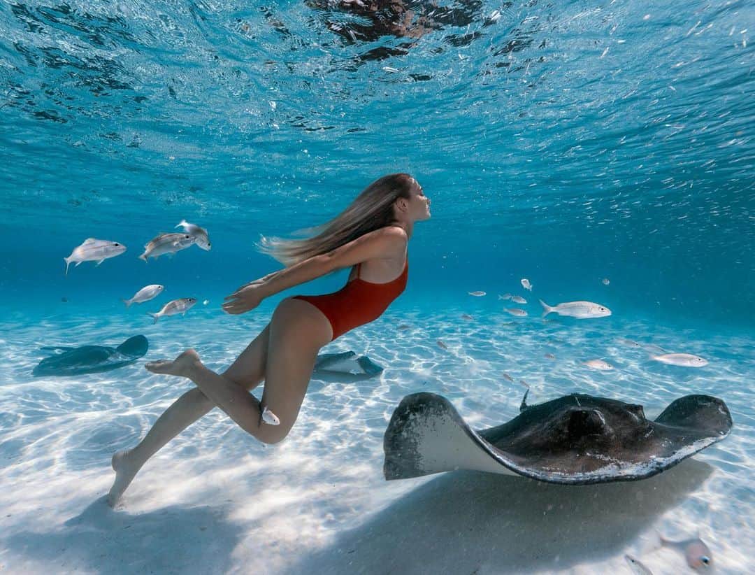 サシャ・カリスのインスタグラム：「One of my favorite partnerships is my work with the Bahamas National Trust. @bahamasnationaltrust  The BNT is a non-profit that works to protect the waters of the Bahamas, something I have always been passionate about. They help to create National Parks around the Bahamas where people are welcome to come and enjoy the beauty of the Bahamas. At the same time they protect these land and sea parks fiercely. Working tirelessly patrolling the area making sure poachers do not fish there, protect against garbage dumping, and keeping the areas pristine and beautiful. So many of BNT’s employees work overtime, with little pay and driven by their passion and love for the ocean. A large part of why the Bahamas has stayed so beautiful and pristine can be attributed to these hard working individuals.」
