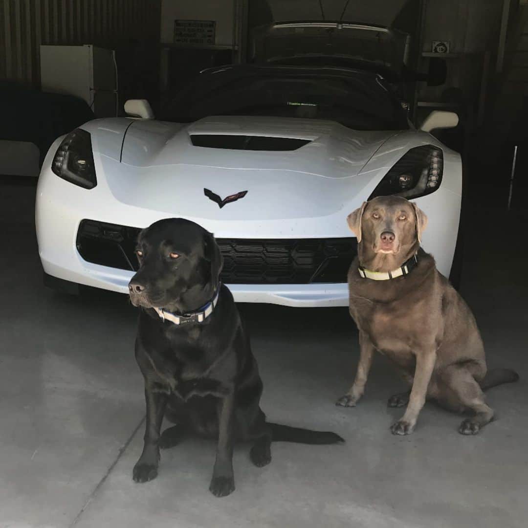 ストーン・コールド・スティーブ・オースチンのインスタグラム：「Cali and Moolah」