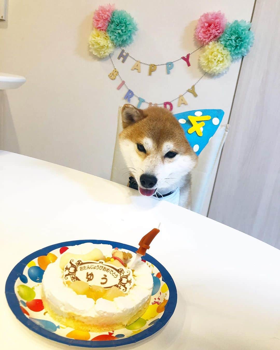 のインスタグラム：「. Happy 4th Birthday,Yu! Thanks for your mighty smile. Wishing you many, many more happiness!! . ゆう、4歳になりました。 ゆうと過ごしてあっという間の4年。 今年は腹痛で少し心配な時もあったけど、数日で回復。 それを除けば大病することなく元気で過ごしてくれました。 無事に4歳の誕生日が迎えられて嬉しいです。 いつもたくさんの笑顔と癒しをありがとう。 4歳の年も元気で楽しく過ごそうね☺️ . ①一年ぶりのケーキに大興奮 ②誕生日プレゼントに大興奮 ③ケーキはよくれ ④お手手滑りながら必死で食べてる ⑤1歳の誕生日 ⑥2歳の誕生日 ⑦3歳の誕生日 . #お誕生日 #お誕生日おめでとう #happybirthday  #4歳」