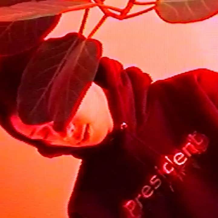 lute / ルーテのインスタグラム：「【XakiMichele「In my blood(prod. acuteparanoia)」公開📺 】2018年から夜猫族のメンバーとして音楽活動を開始し、独自なスタイルに存在感を放つラッパー・XakiMichele（@xakimichele）「In my blood（prod. acuteparanoia）」のミュージックビデオを公開。  自身初のMVである本作は、JinmenusagiのMVなども手掛けるlilsomが監督。「非現実的現実（Mixed Reality）」をテーマに妖しげなイメージが漂う作品となっている。 . . Full verの視聴はプロフィールのURLをチェック☝︎ @lutemedia .  #lute #lutemedia #xakimichele」