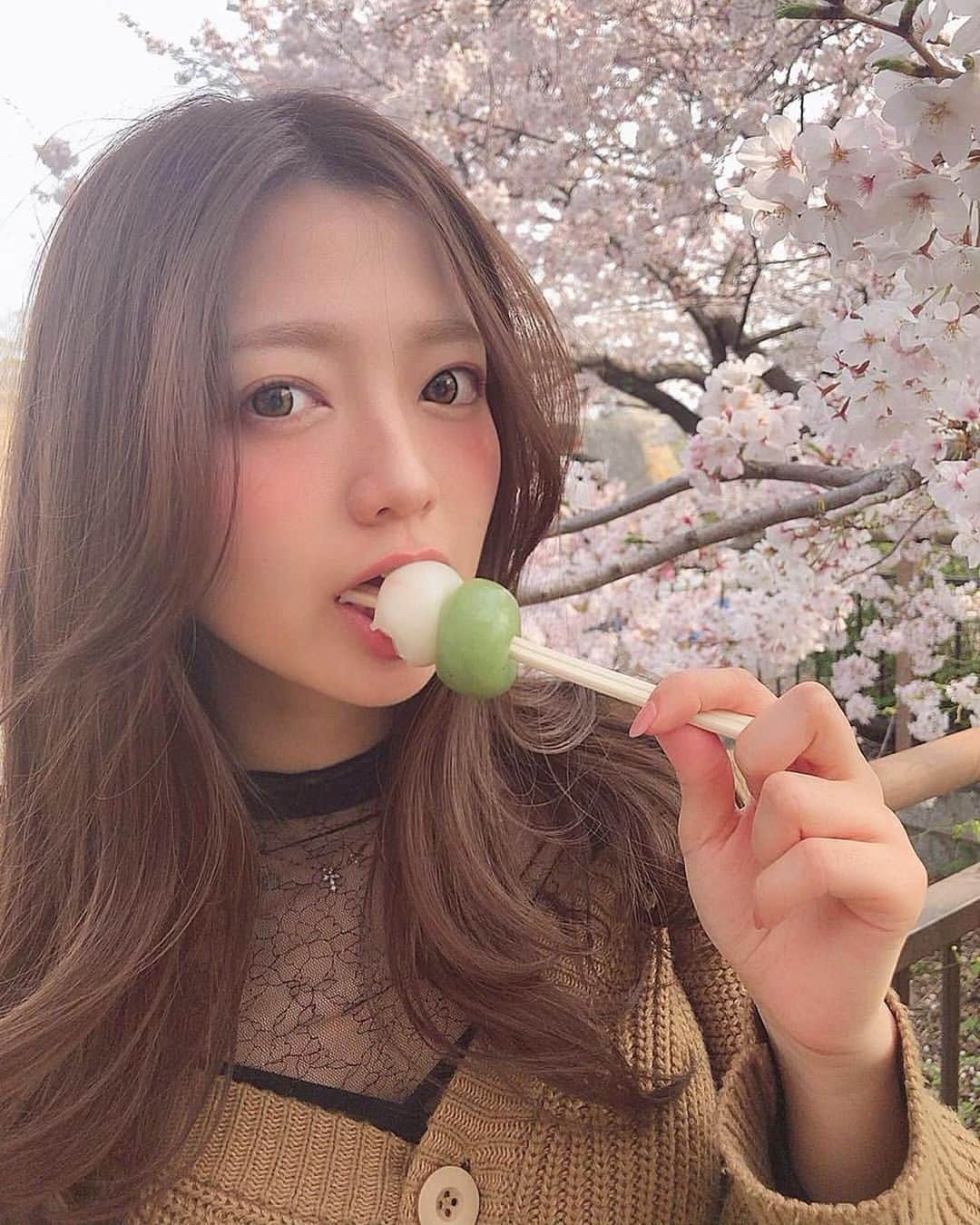 美女美容事情さんのインスタグラム写真 - (美女美容事情Instagram)「《桜に見惚れて🌸💕》⠀ *⠀ リポストを使って、素敵な写真📷✨を投稿されてる方を紹介させて頂く⠀⠀⠀⠀ 【💄美女美容事情💅】のコーナーです✨⠀ *⠀⠀⠀⠀⠀⠀⠀ いいねやコメント、フォローして応援してね❤︎🥰🎶⁣⠀ *⠀⠀⠀⠀⠀⠀⠀ 今回ご紹介させて頂きますのは❤︎⠀ やっちんさん< @ya____ch >の素敵なお写真📸⠀ *⠀ 桜をバックにお団子をかじる様子まで美しくて癒されます😊⠀ 清廉な感じにファンになってしまいます🥰⠀ *⠀⠀ やっちんさんのアカウントには他にも素晴らしい投稿が沢山ありますので是非覗いてみてくださいね💁‍♀️💙⠀ *⠀⠀ やっちんさん< @ya____ch >⠀ 素敵な投稿ありがとうございました☺️📸✨⠀⠀⠀⠀⠀⠀⠀⠀ △▼△▼△▼△▼△▼△▼△▼△▼△▼⠀⠀⠀⠀⠀⠀⠀⠀⠀⠀⠀⠀⠀⠀⠀⠀⠀⠀⠀⠀⠀⠀⠀⠀⠀⠀⠀⠀⠀⠀⠀⠀⠀ ❤🧡💛「美女美容事情」💚💙💜⠀⠀⠀⠀⠀⠀⠀⠀⠀⠀⠀⠀⠀⠀⠀ 👇掲載ご希望の方は👇⠀⠀⠀⠀⠀⠀⠀⠀⠀⠀⠀⠀⠀⠀⠀⠀ @b_b_j.jタグ付けと🖤 # ビジョビ⠀🖤⠀⠀⠀⠀⠀⠀⠀⠀⠀⠀⠀⠀⠀⠀⠀ をタグ付けお願いします✨⠀⠀⠀⠀⠀⠀⠀⠀⠀⠀⠀⠀⠀⠀⠀⠀ ――――――――――――――――⠀⠀⠀⠀⠀⠀⠀⠀⠀⠀⠀⠀⠀⠀⠀⠀⠀⠀⠀⠀⠀⠀⠀ ～姉妹アカウントのご紹介～⠀⠀⠀⠀⠀⠀⠀⠀⠀⠀⠀⠀⠀⠀⠀⠀⠀⠀⠀⠀⠀⠀⠀⠀⠀⠀⠀ ◇美容情報を紹介している«美女美容事情～Beauty～»⠀⠀⠀⠀⠀⠀⠀⠀⠀⠀⠀⠀⠀⠀⠀⠀⠀⠀⠀⠀⠀⠀⠀⠀⠀⠀ ( @b_b_j.j_b )⠀⠀⠀⠀⠀⠀⠀⠀⠀⠀⠀⠀⠀⠀⠀⠀⠀⠀⠀⠀⠀⠀⠀⠀⠀⠀⠀ ◇美しい旅スポット紹介をしている«美 spot»⠀⠀⠀⠀⠀⠀⠀⠀⠀⠀⠀⠀⠀⠀⠀⠀⠀⠀⠀⠀⠀⠀⠀⠀⠀ ( @b__spo )⠀⠀ ⠀ ◇ビジョビがお届けするセレクトショップ«bi select»⠀ ( @bi_select )⠀ ⠀⠀⠀⠀⠀⠀⠀⠀⠀⠀⠀⠀⠀⠀⠀⠀⠀⠀⠀⠀⠀ よかったらこちらも覗いてみてね✨⠀ ――――――――――――――――⠀⠀⠀ @b_b_j.j⠀⠀ #メイク #beauty⠀⠀⠀⠀ #美肌 #ロングヘア ⠀ #アイメイク #カラコン ⠀⠀⠀ #アイシャドウ #女子力アップ ⠀⠀⠀⠀⠀⠀⠀ #アイライン #美意識⠀⠀⠀⠀⠀⠀ #団子 ⠀ #女子力 #女子力向上⠀⠀⠀⠀⠀⠀ #リップ #チーク⠀⠀⠀⠀⠀⠀ #naturalbeauty #makeup #白石麻衣」6月9日 17時56分 - b_b_j.j