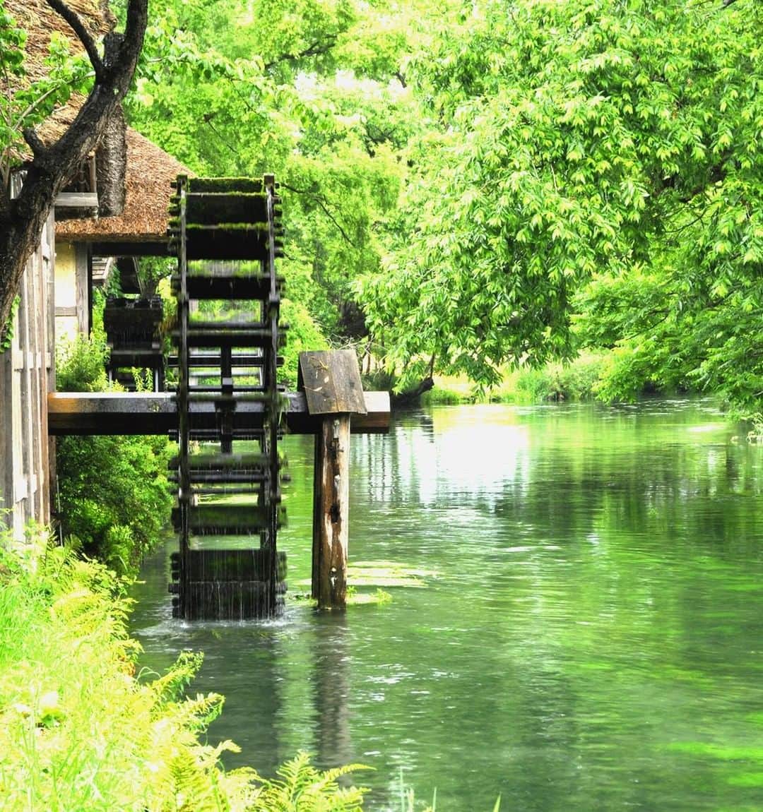 楽天トラベル のグルメインスタ