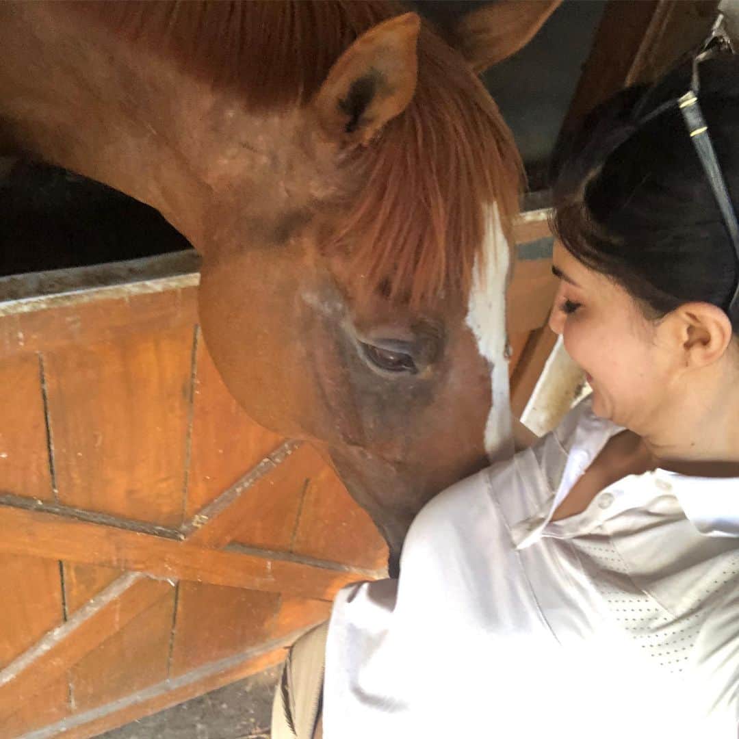 Jacqueline Fernandezさんのインスタグラム写真 - (Jacqueline FernandezInstagram)「Haryana High Court declares all animals as ‘legal persons’ and all citizens as their guardians 💝 this is such a landmark judgement for animal welfare! I’m so happy for all my four legged friends 🥳🥳」6月9日 18時02分 - jacquelienefernandez