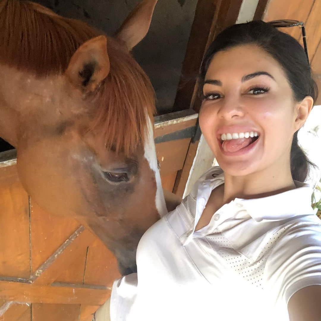 Jacqueline Fernandezさんのインスタグラム写真 - (Jacqueline FernandezInstagram)「Haryana High Court declares all animals as ‘legal persons’ and all citizens as their guardians 💝 this is such a landmark judgement for animal welfare! I’m so happy for all my four legged friends 🥳🥳」6月9日 18時02分 - jacquelienefernandez