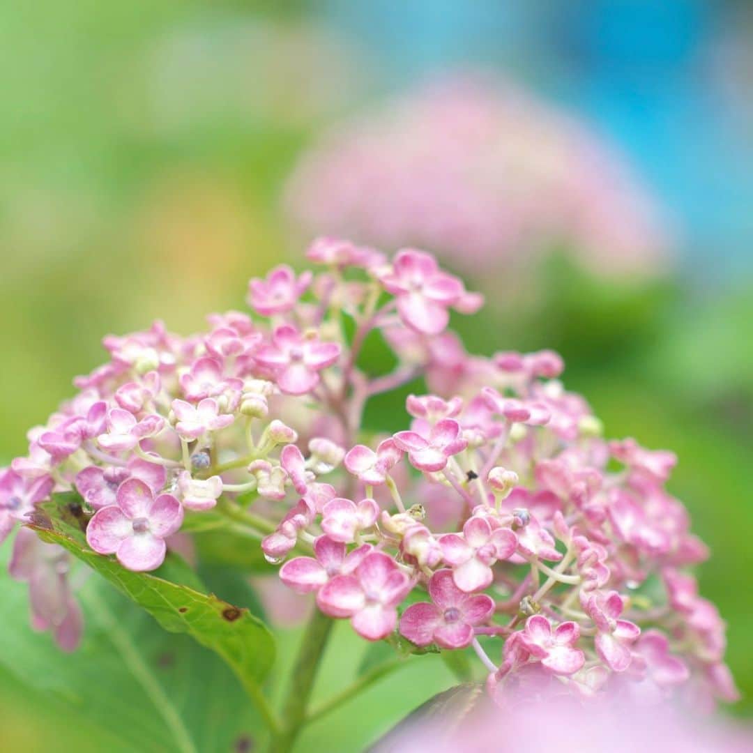 kiccyomuのグルメインスタ