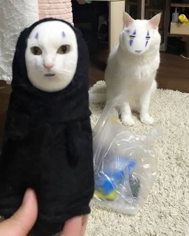 Aww Clubさんのインスタグラム写真 - (Aww ClubInstagram)「Suprrited away⠀ ⠀ 📷 hakusama0906 | TW⠀ ⠀ #meowed #tabby #filters #faceswap #Kaonashi #noface #🇯🇵」6月9日 10時00分 - meowed