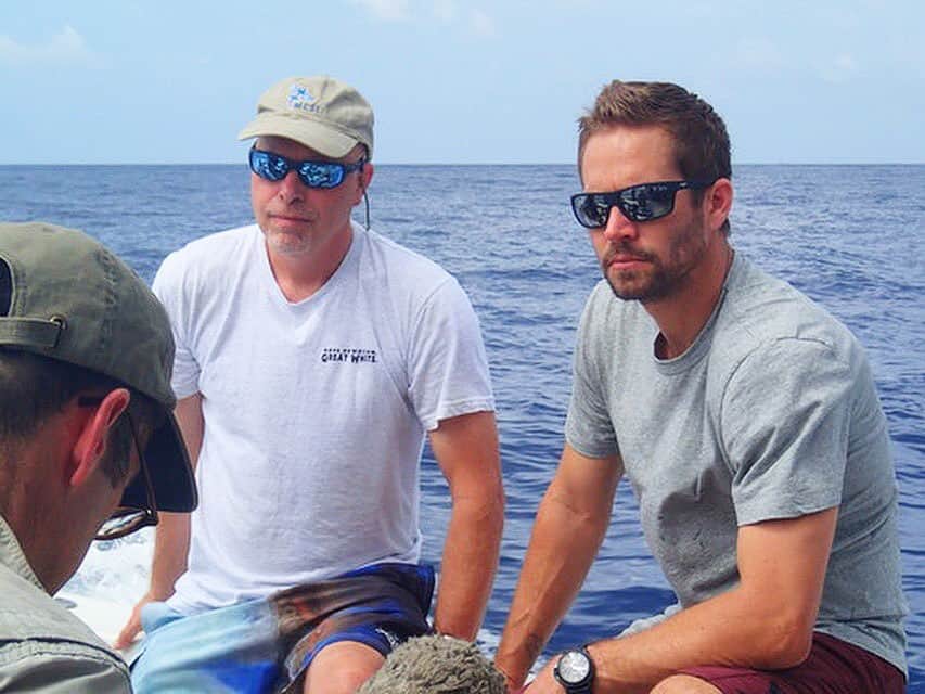 ポール・ウォーカーのインスタグラム：「Happy #WorldOceansDay! 🦈 In honor of Paul’s passion for the preservation of marine life, we hope you’ll help us continue to support @PaulWalkerFdn’s efforts in conservation through research and education! http://bit.ly/pwfdonate - #TeamPW #DoGood」