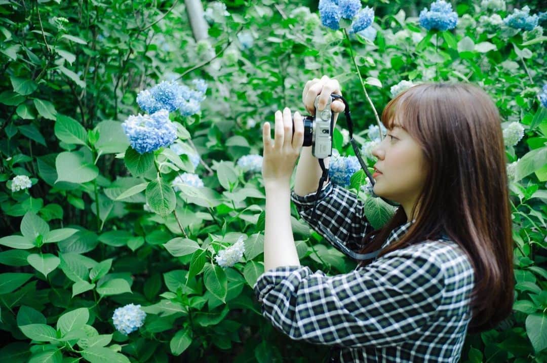 のインスタグラム：「. 梅雨入りし雨が続きますが この時期だからこそ 楽しめるものも…♪ . 相棒のカメラを持ってお出掛けしました📸 . #紫陽花 #鎌倉」