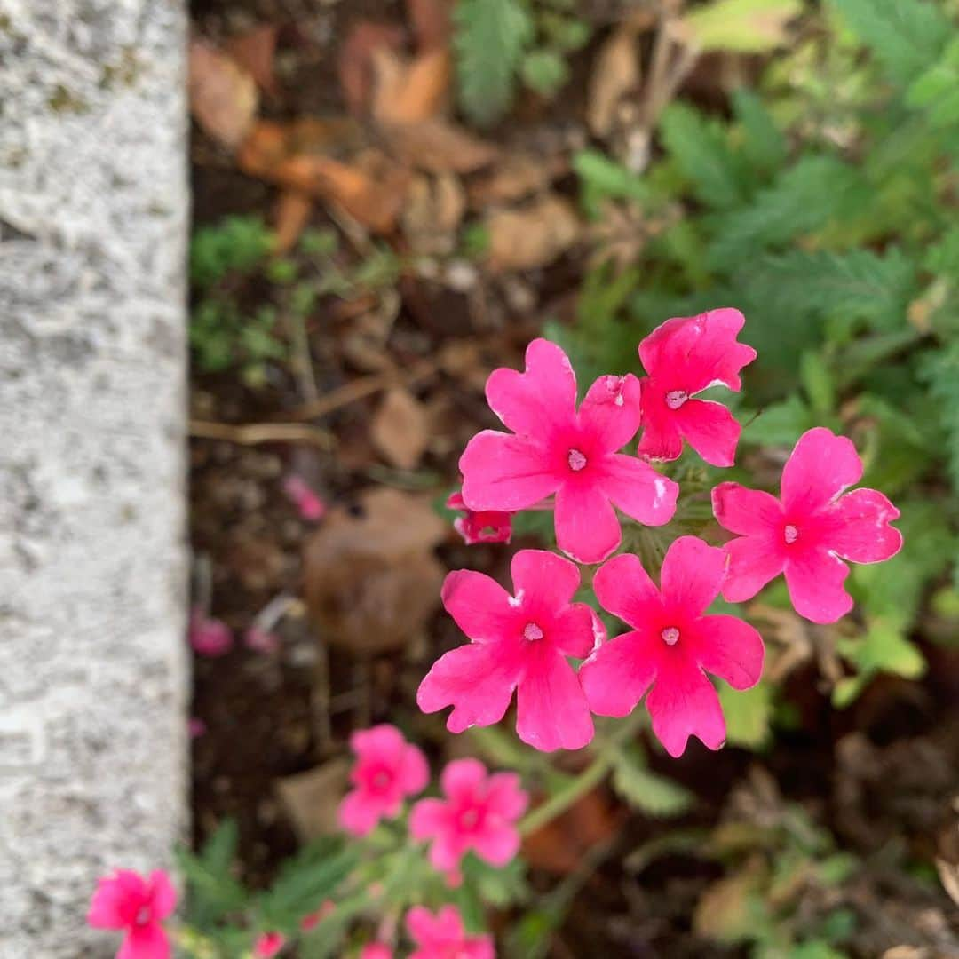 鈴木六夏のインスタグラム